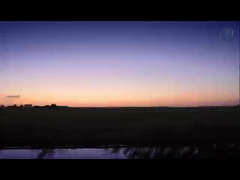 1000-8000 सीरीज प्रीपेन्टेड एल्यूमीनियम कॉइल