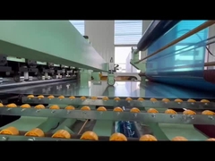 रंग लेपित एल्यूमीनियम का तार