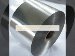 महत्वपूर्ण वजन में कमी के लिए 3105 एल्यूमीनियम मिश्र धातु कार छत पैनल (1.2mm/2000mm)