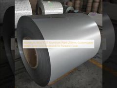 रेडिएटर कवर के लिए एल्यूमिनियम मिश्र धातु 5052 एल्यूमिनियम प्लेट (2.0 मिमी, अनुकूलन योग्य चौड़ाई, सिल्वर-ग्रे एनोडाइज्ड)