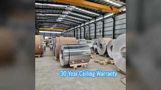 टिकाऊ एल्युमीनियम सीलिंग शीट 30 साल की वारंटी