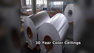 टिकाऊ एल्युमीनियम सीलिंग शीट 30 वर्ष रंग