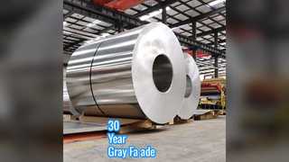 30 साल के ग्रे एल्युमीनियम परदा दीवार पैनल