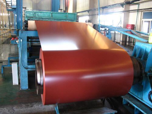 Alloy 3004 1.0mm Prepainted Aluminium Coil for Museum Display Cases